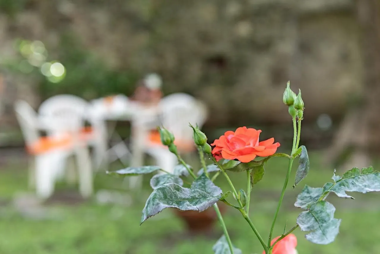 דונגו B&B Villa Rosalinda לינה וארוחת בוקר